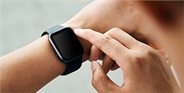 EPT電池品質(zhì)高，鎳氫和鋰電都表現(xiàn)不俗