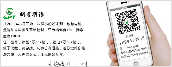 動(dòng)力鋰電池廠(chǎng)家